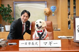 盲導犬マギーちゃん、京都・亀岡市の一日市長犬に就任！ 任命式では市長の椅子の座り心地を確認 画像