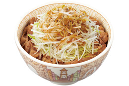 すき家冬の定番「白髪ねぎ牛丼」販売開始 画像