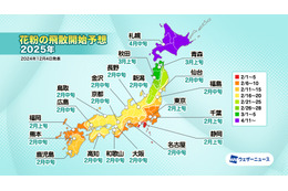 2025年春の花粉飛散予想、西日本で過去10年最多級の可能性 画像