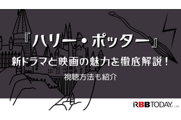 ハリー・ポッターのドラマが始まる前に！映画で世界観を予習しておこう 画像