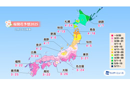 桜開花一番乗りは東京の3月21日！西・東日本は平年並～やや早い予想 画像