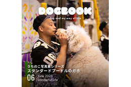スタンダードプードルのガホちゃんがモデル! 「うちのこ写真集シリーズ」第5弾が発売 画像