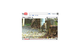 YouTube、4段階の画質で動画再生が可能に 画像