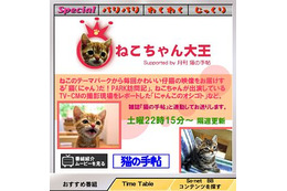 あのHITOEやかわいいねこちゃんの番組が登場！「So-net TV」7月の新番組 画像