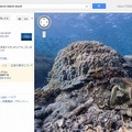 オーストラリア ヘロン島の海底