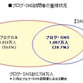 　ビデオリサーチインタラクティブは19日、ブログとソーシャル・ネットワーキング・サービス（SNS）サイトの2006年の視聴動向のまとめを発表した。