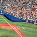 横浜スタジアム『コミュニティボールパーク』化……3種類のシート新設 画像