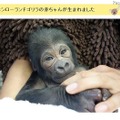 動物園