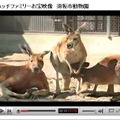 YouTubeでのPR動画