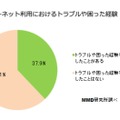 インターネット利用におけるトラブルや困った経験