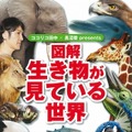 図解　生き物が見ている世界