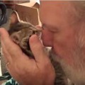 【動画】飼い主さんのキスにキレた子猫