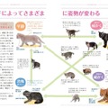 猫語辞典　オールカラー　にゃんこのキモチがわかっちゃう！