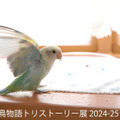 鳥物語トリストーリー展 2024-25