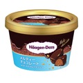 ハーゲンダッツメルティーチョコレートwithカラメルクラッシュ