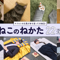 「『ねこのねかた』22選」