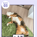 「『ねこのねかた』22選」