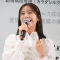 貴島明日香【写真：竹内みちまろ】