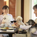 「ゆるり箱根with DOGS」
