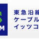 イッツコム、3Dコンテンツと韓国放送「DATV」の提供開始 画像