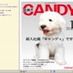 オラクル、「社員犬キャンディ」の情報を電子書籍化……epub形式ファイルを無償配布 画像