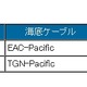 BIGLOBE、日本と米国間の海外接続バックボーンを強化……海底ケーブルを2重化 画像