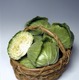 【父の日】オススメの“野菜たっぷりレシピ”……タキイ種苗 画像