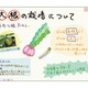 リアルタイムに書き込み共有できる協働学習支援アプリ「MetaMoJi Share for ClassRoom」 画像