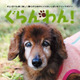 【Interpets 2015 Vol.4】愛犬が表紙に登場するかも！「ぐらんわん」がコンテスト 画像