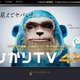 ひかりTV、今月末より4K-IP放送をスタート……2チャンネルを開局 画像