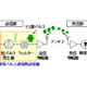 富士通、インパルス無線伝送方式で70〜100GHz帯パルス送信器の開発に成功 画像