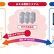 ドコモ、難聴者向けの電話内容リアルタイムテキスト化サービス「みえる電話」のトライアルを開始 画像