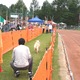 【八ヶ岳ドッグフェスタ　Vol.2】来場者が増加中！愛犬と楽しみ、犬について学んだ2日間 画像