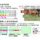 NEC、マルチコア対応のH.264/MPEG-4 AVCソフトウェアコーデックを開発 画像