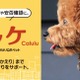 ペットの迷子対策に！二次元バーコード付きの迷子札「ミッケ」新発売 画像