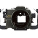 5D Mark IIで水中撮影——シーアンドシー・サンパック、5D Mark II用の水中ハウジング 画像