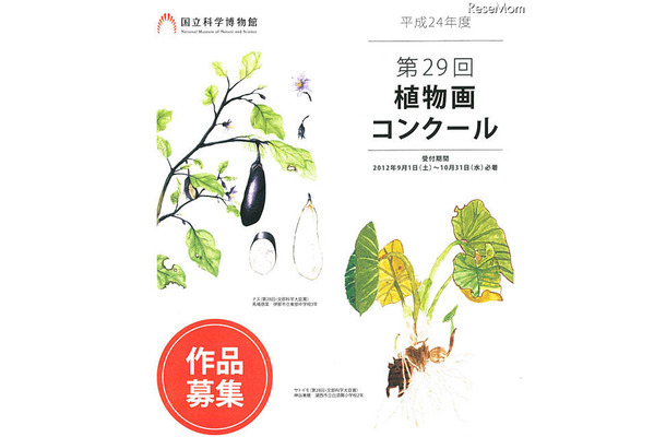 第29回植物画コンクール