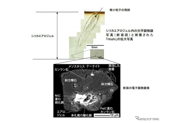 新種の地球外物質「hoshi」