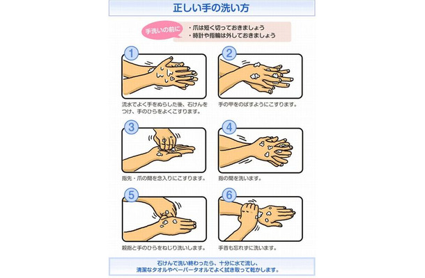 正しい手の洗い方