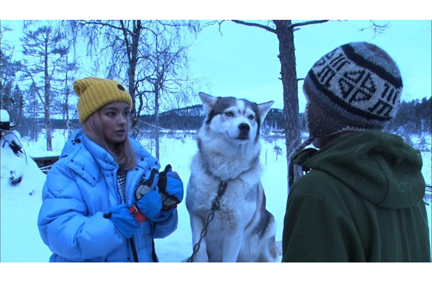 ローラ 頭の保護犬と暮らす女性に会うため極寒のフィンランドへ Rbb Today