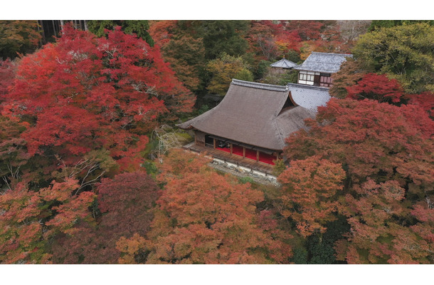Tbs 世界遺産 放送25周年は 京都空撮 Sp 天龍寺や龍安寺の石庭 方丈庭園をテレビ初のドローン撮影 Rbb Today