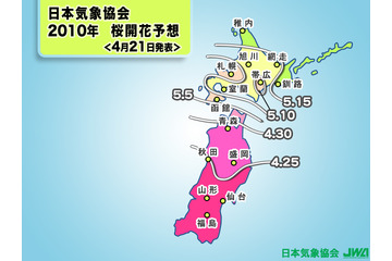 GW中は桜真っ盛り！　弘前市で4月27日、津軽海峡渡って札幌市5月8日開花 画像