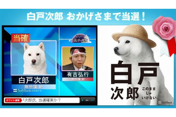 「白戸次郎、おかげさまで当選！」…ソフトバンクのお父さん犬、いち早く当確に名乗り 画像