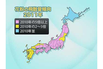 来年のスギ花粉、関東は今年の7～8倍、近畿では10倍という予想 画像