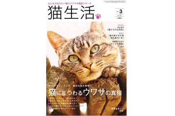 【本日発売の雑誌】猫にまつわるウワサの真相……「猫生活」 画像