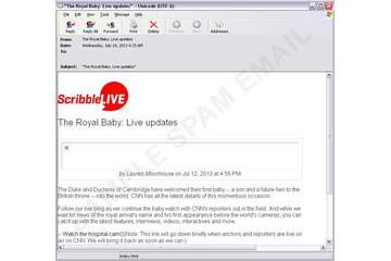英王室ロイヤルベビー誕生に便乗したスパムメール攻撃が急拡大 画像