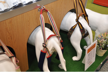 【Interpets 2015 Vo.14】トンボ、愛犬の“後ろ脚”を中心にサポートする新モデルを発表 画像