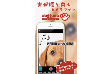 迷子犬を探せる顔認証機能……愛犬をカメラ目線で撮影できるアプリ「dogg.meカメラ」に追加 画像