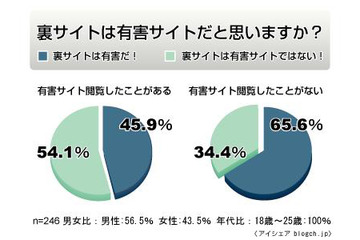 「裏サイト」閲覧者の半数以上が「有害サイトではない」と認識 画像