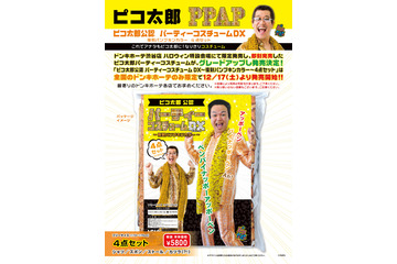 忘年会用に!?　ピコ太郎公認の衣装がドンキで発売に 画像